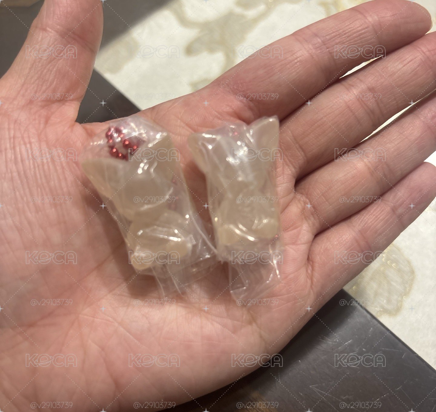 BANDAI 吊飾 寅🦊