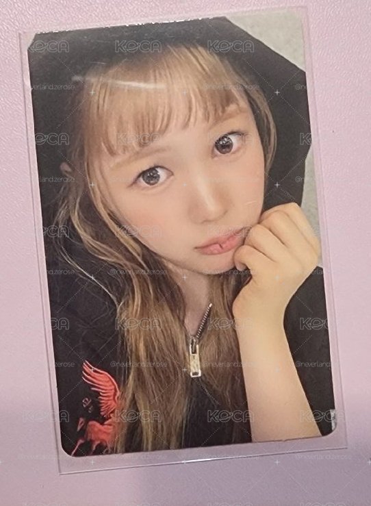 wm預售yeon
