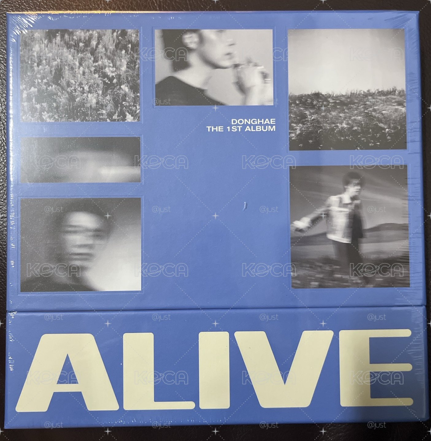 alive東海全專