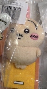 體重計兔