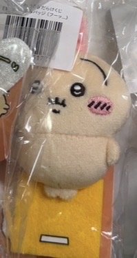 體重計兔