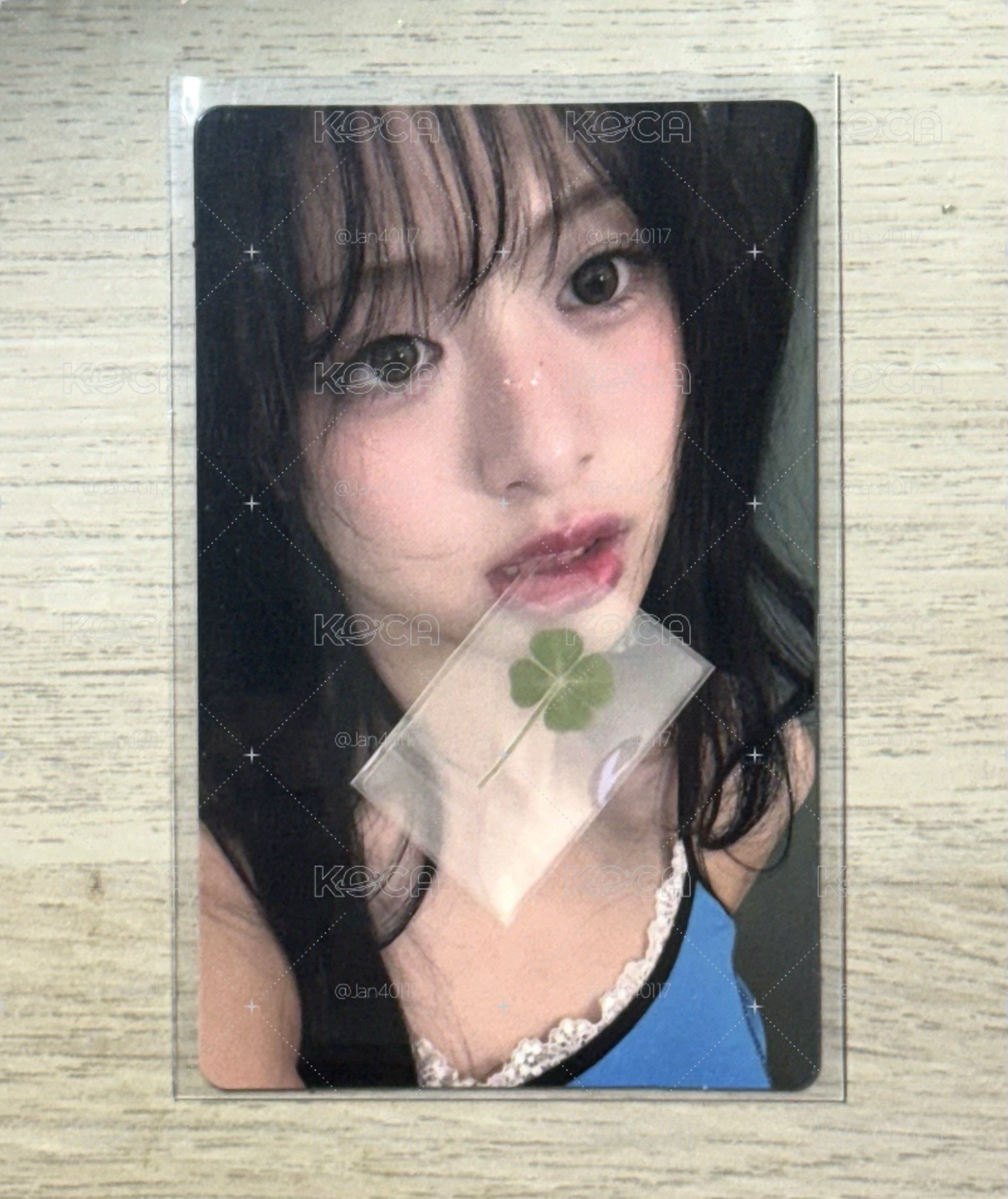 Babymonster 鄭雅賢 四葉草賢（有損）