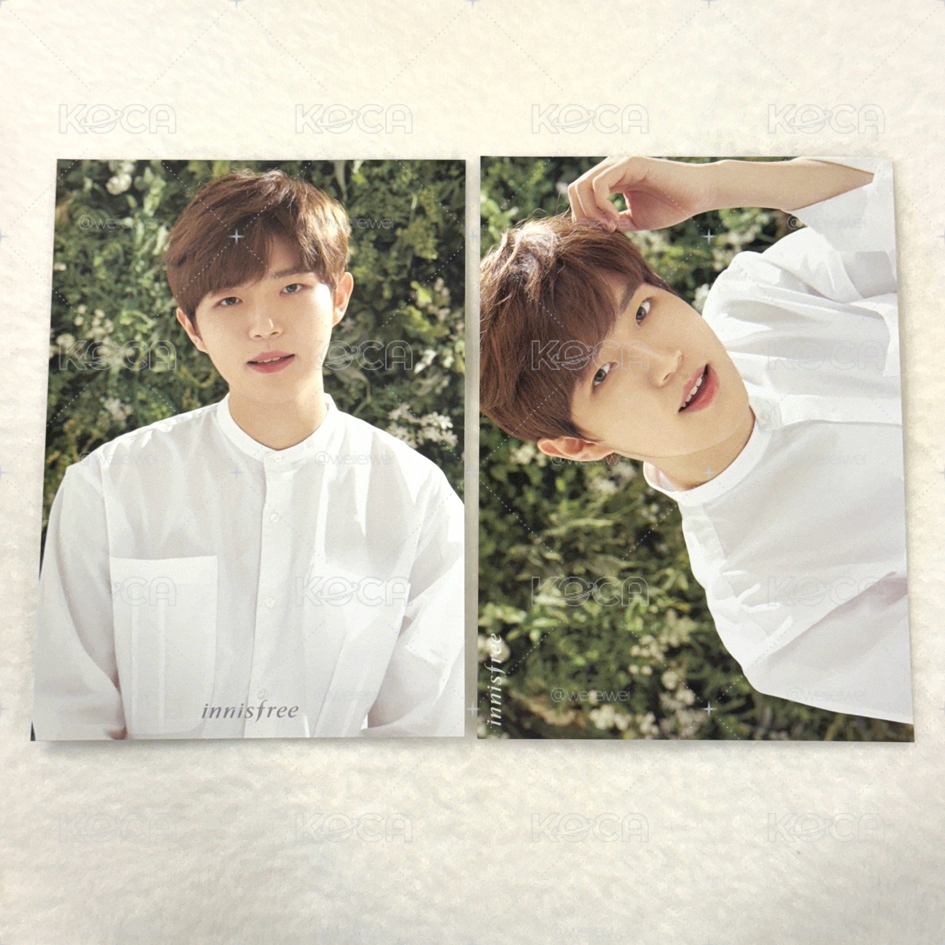 Wanna one innsifree 