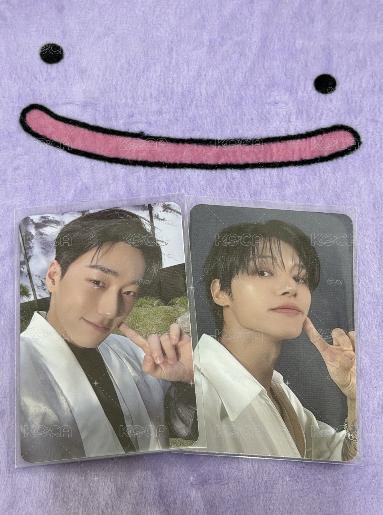Search image