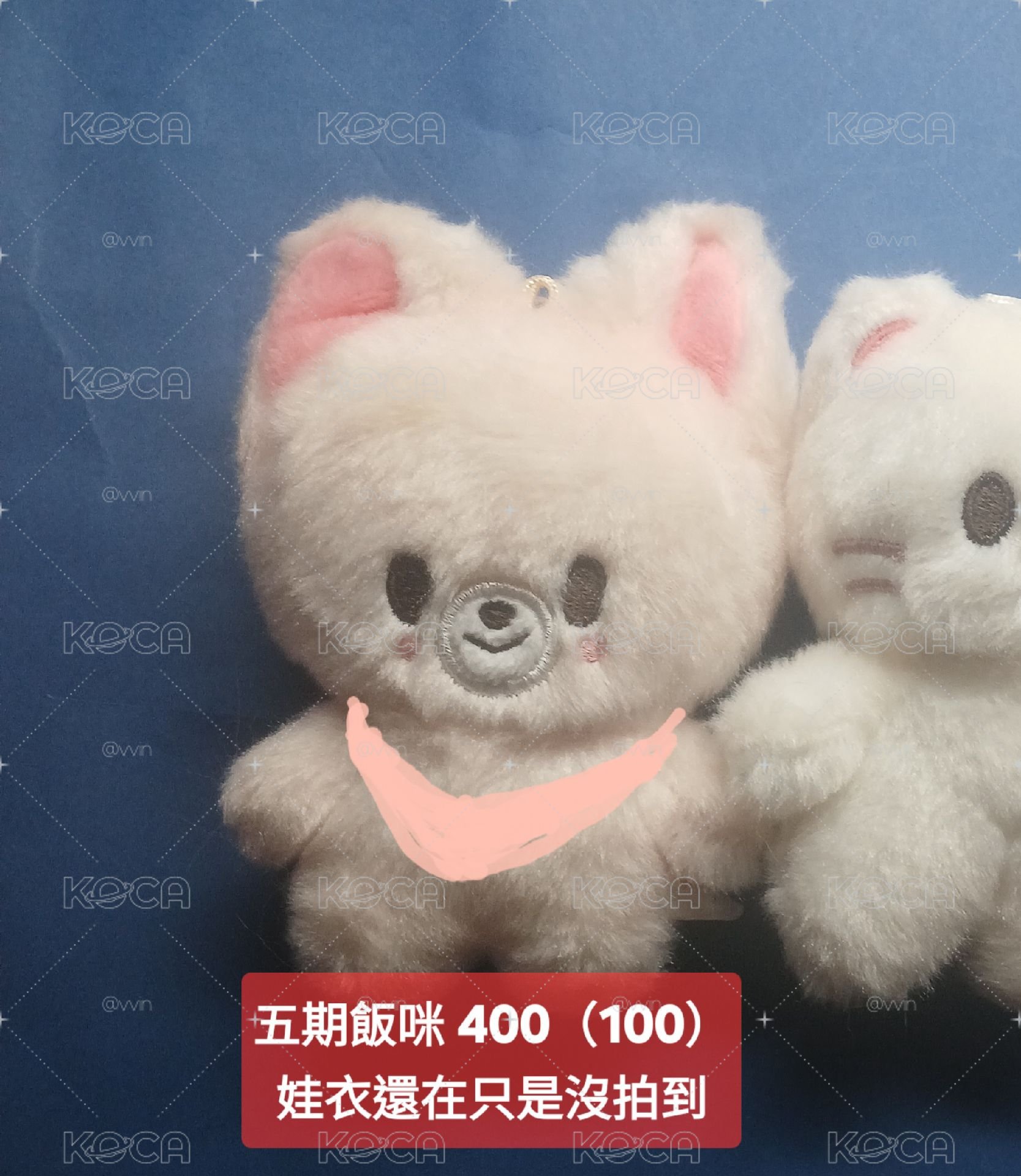 寅圍兜兜娃（100）