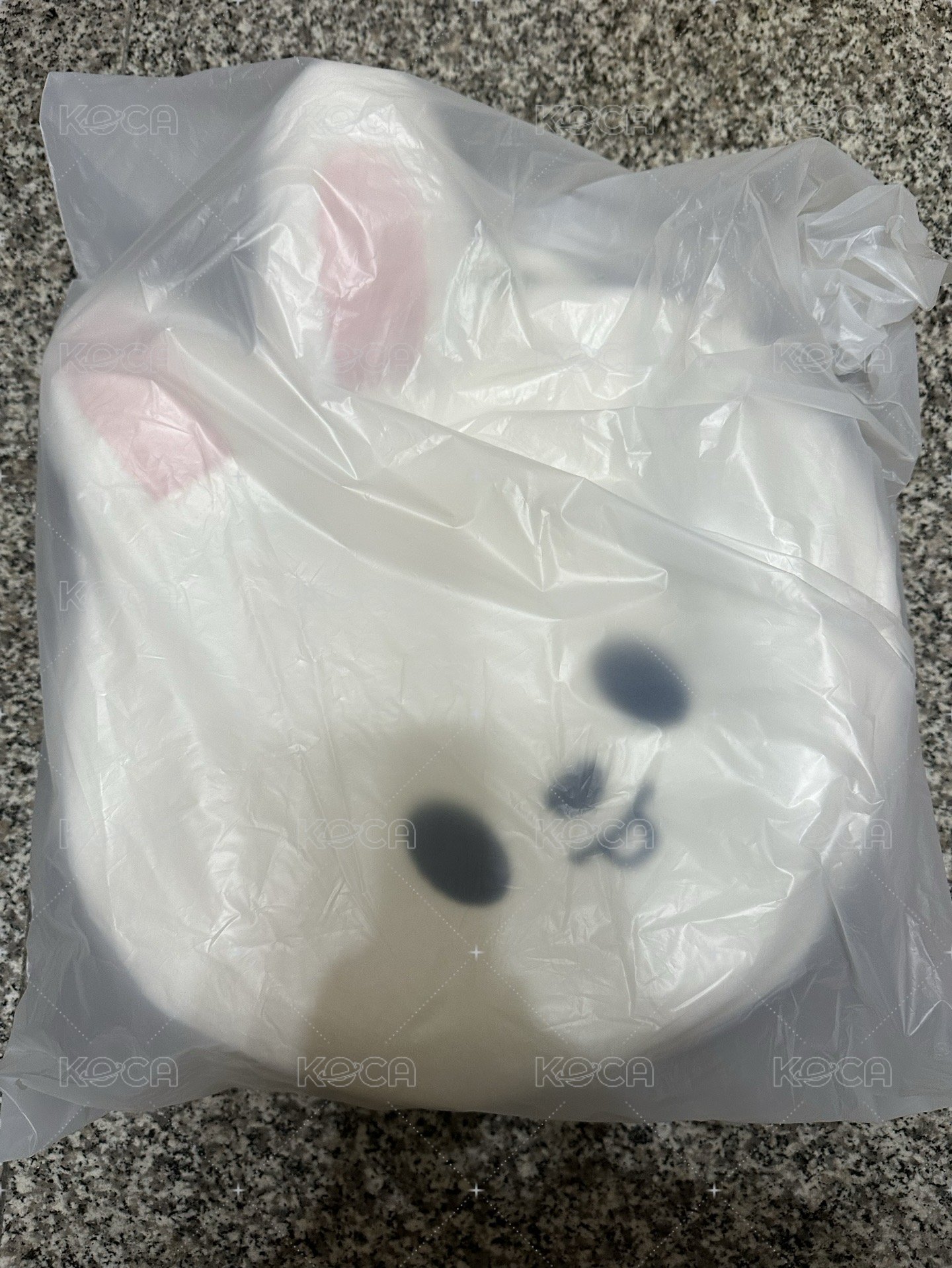 李畢