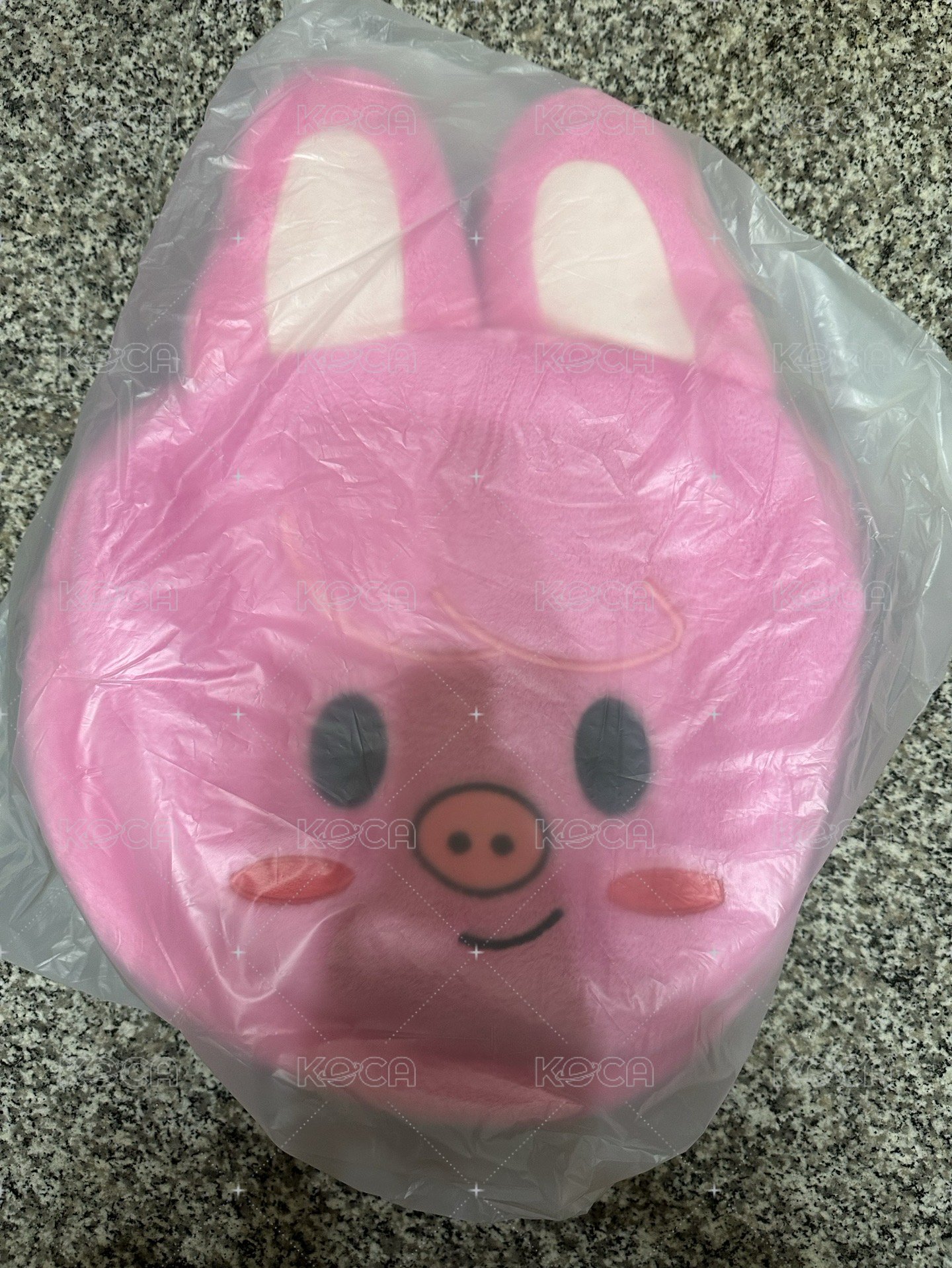 豬兔