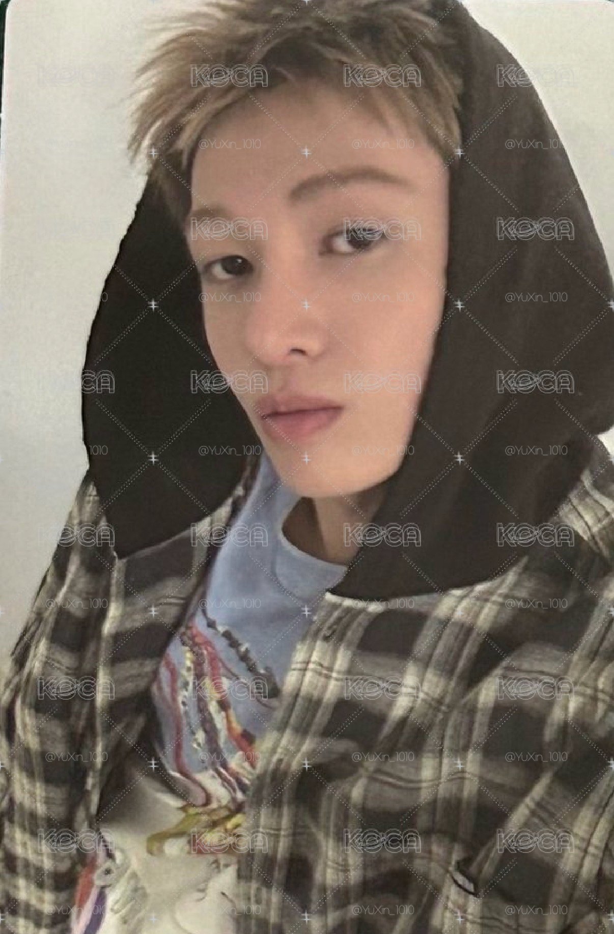 wvs預售 馬丁 不單出