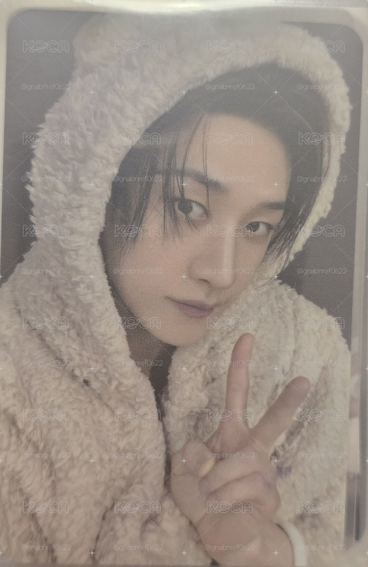 🐻🐻燦