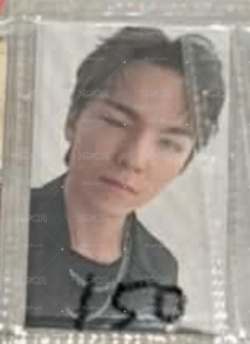SVT 率盤（可拆）