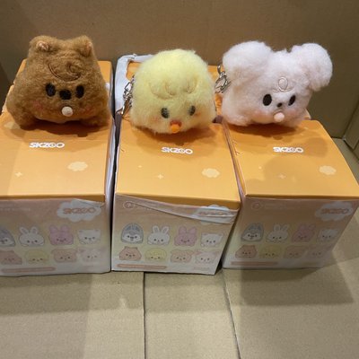 現貨 世巡周邊 全新未拆 隨機奶嘴娃吊飾