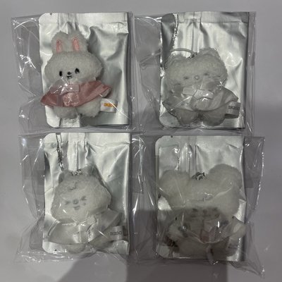 現貨 Stray Kids 世巡周邊 潦草吊娃 已拆確認款