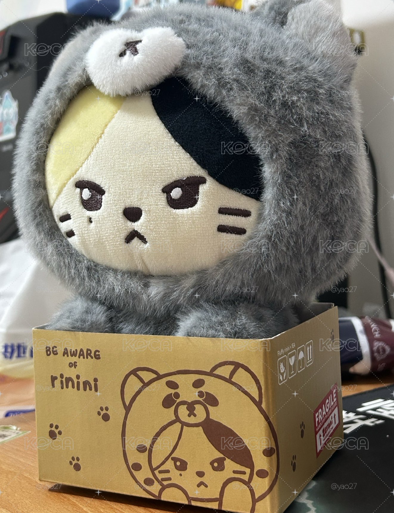 鋭妮妮等待領養⌛️（還有他爸
