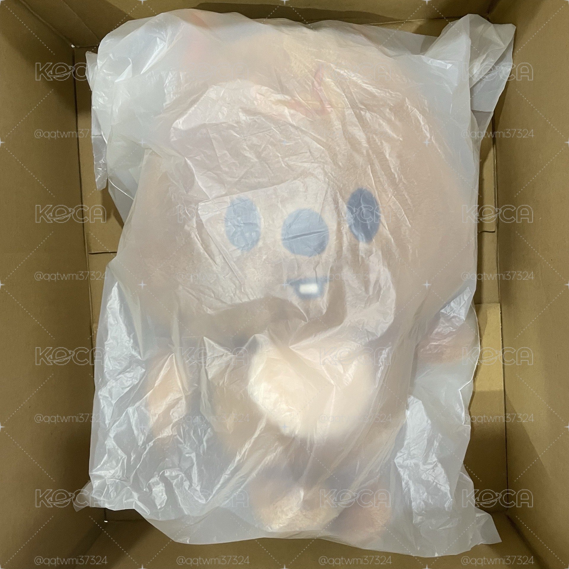 現貨 飯咪周邊 全新未拆含卡 韓闊卡後背包 含兩張隨機滿額卡