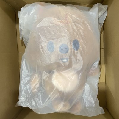 現貨 飯咪周邊 全新未拆含卡 韓闊卡後背包