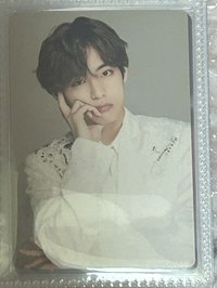 SY 8