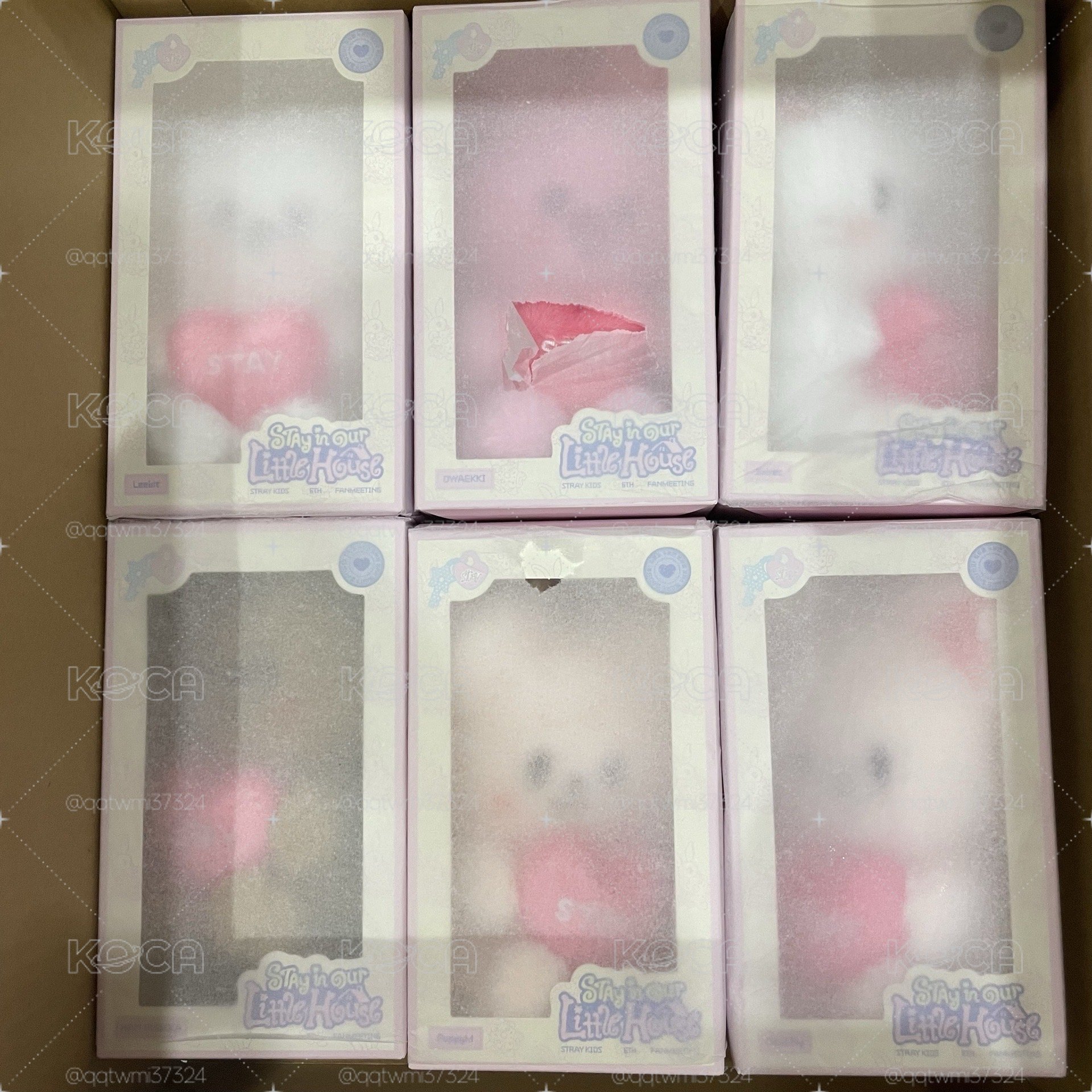 現貨 飯咪周邊 全新未拆語音娃 