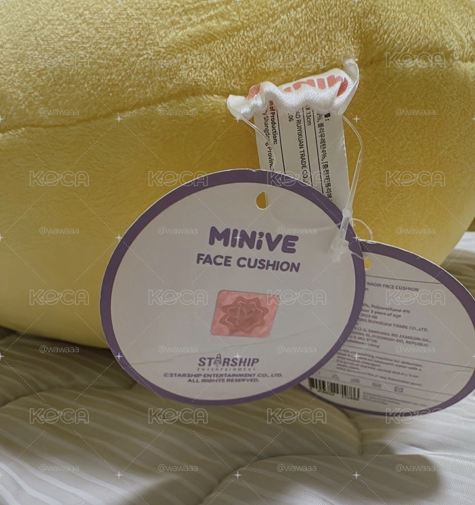 Ive minive Naori 鬧莉的抱枕 珍稀釋出