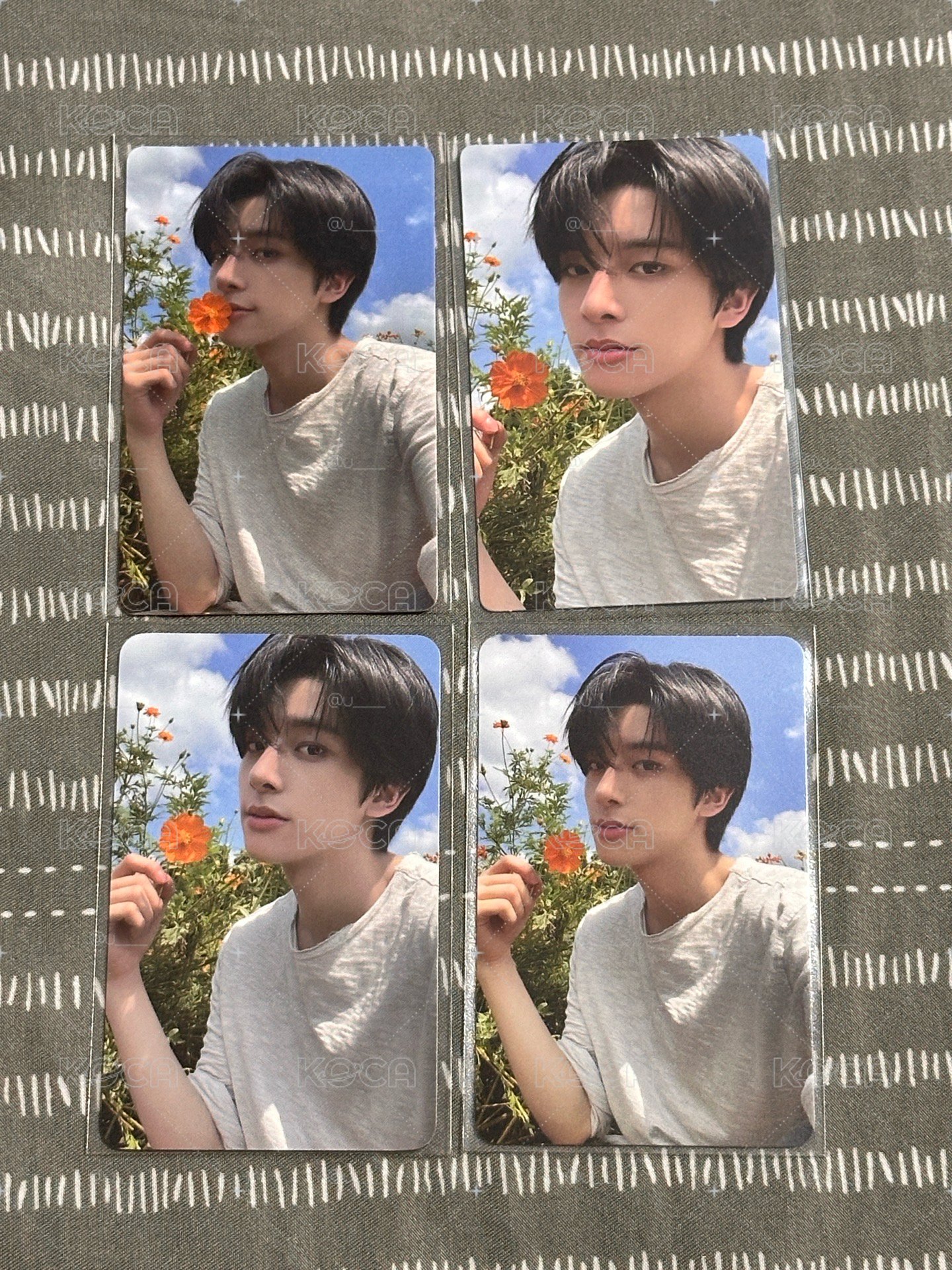 橙花一鍵畢業