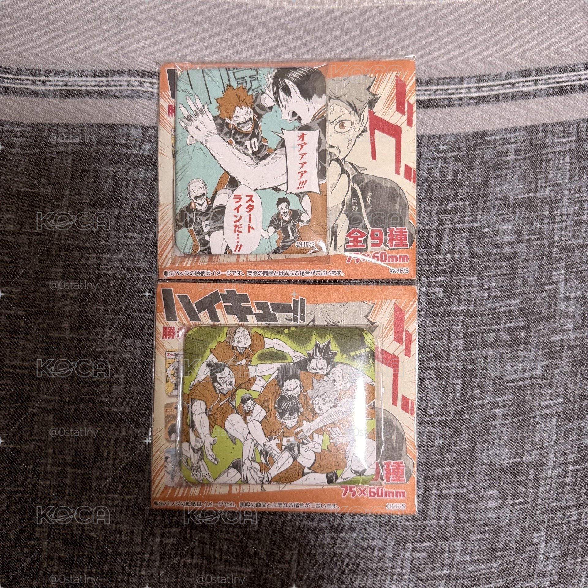《排少》勝利方