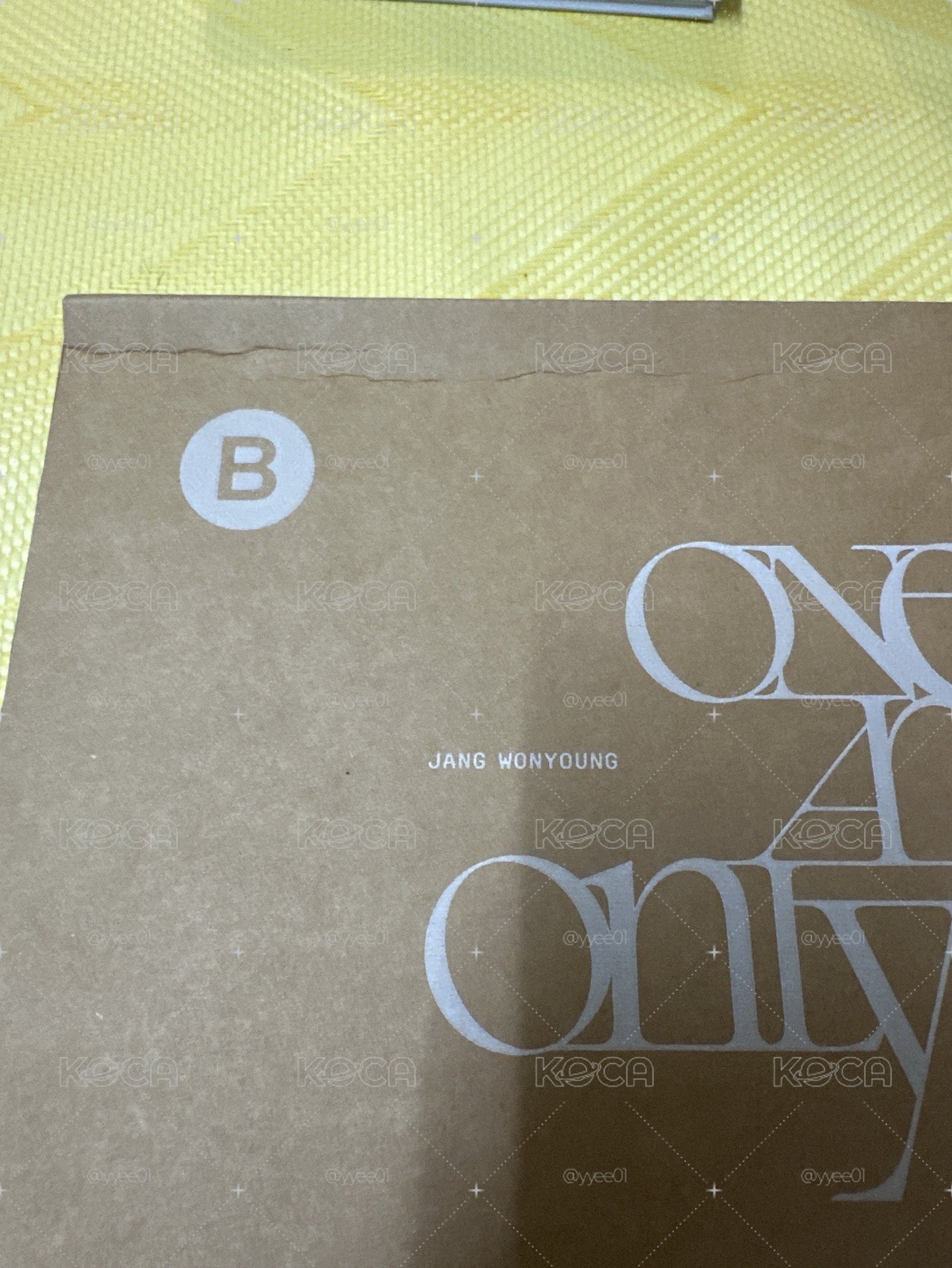 IVE張員瑛DICON ISSUE N°31: JANGWONYOUNG D社雜誌B版 官網特典 雜誌卡 