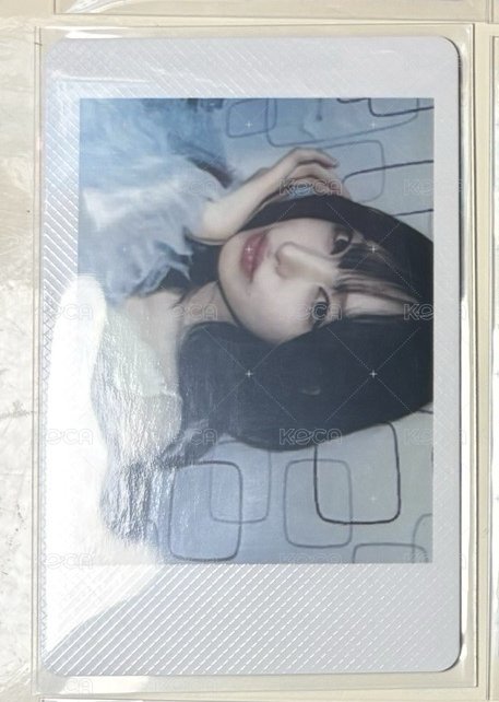 栗拍