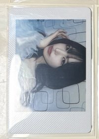 栗拍