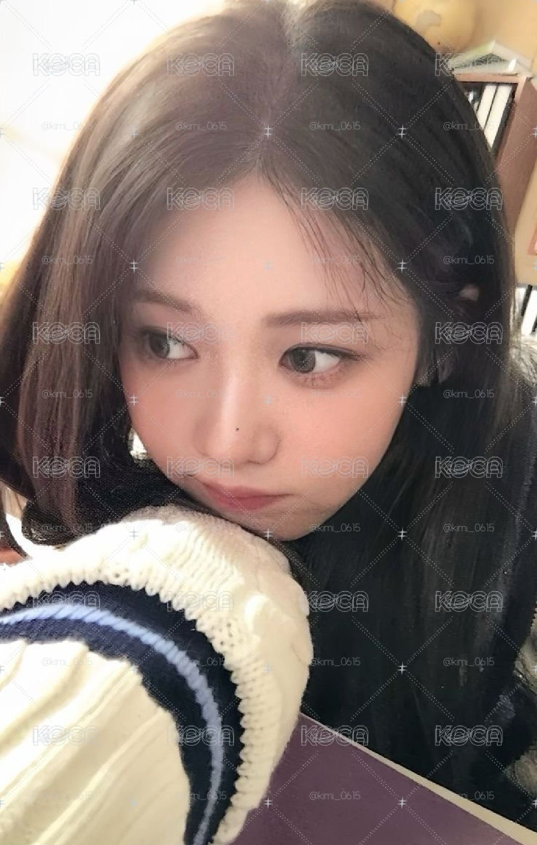 茶白情A