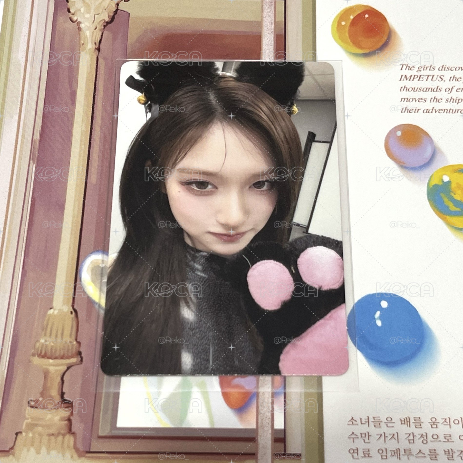 瑞 am 3.0簽售卡🐈‍⬛