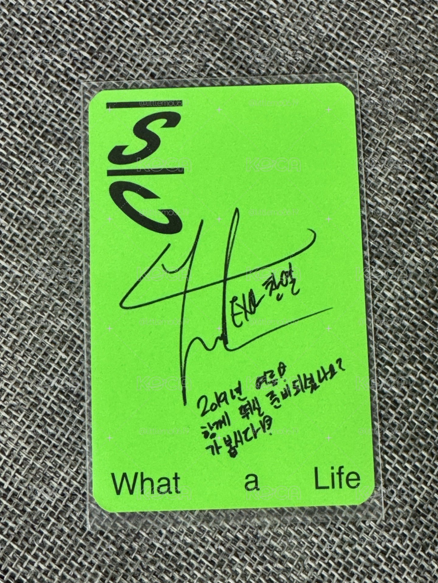 EXO S.C 燦烈貓咪-What A Life 專輯卡 