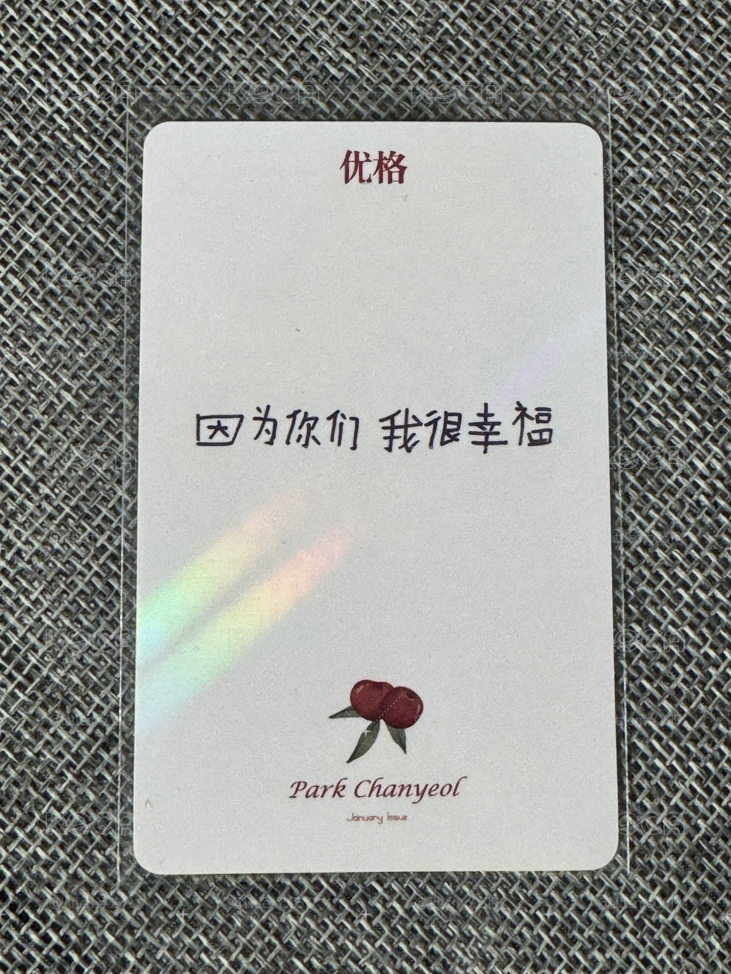 EXO 燦烈&迷你baby札特 閃卡 中文卡背