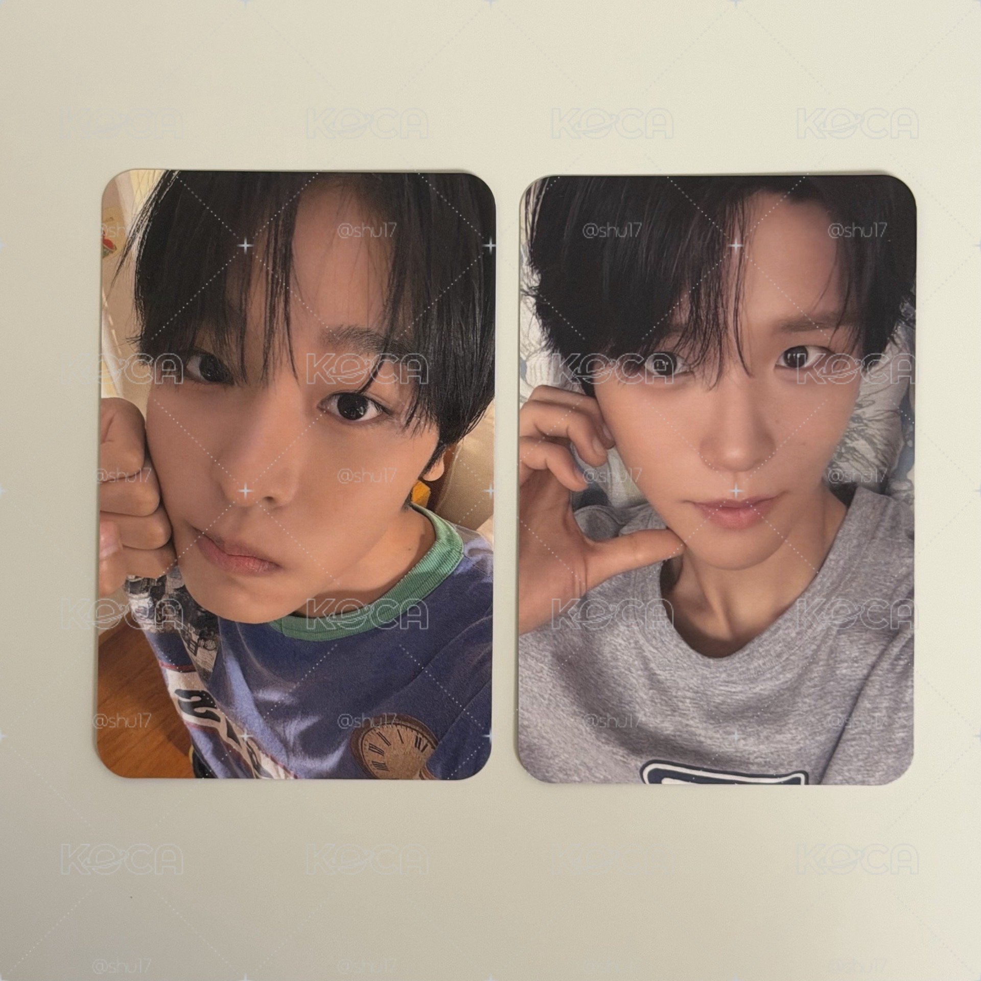 陸樹特典卡