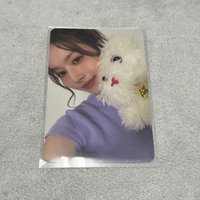 策略 小狗紗