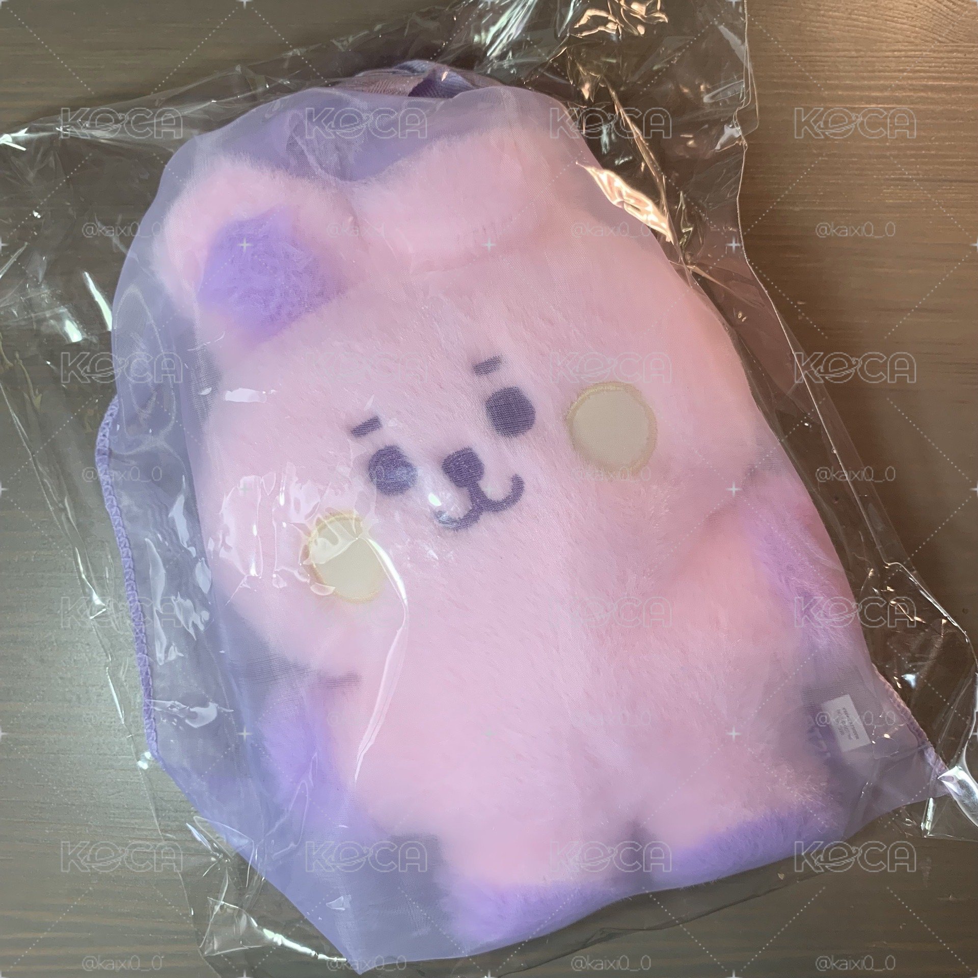 BT21 Baby S娃 23紫愛絨毛系列 Cooky