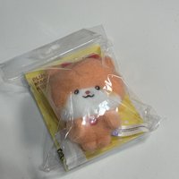 琪