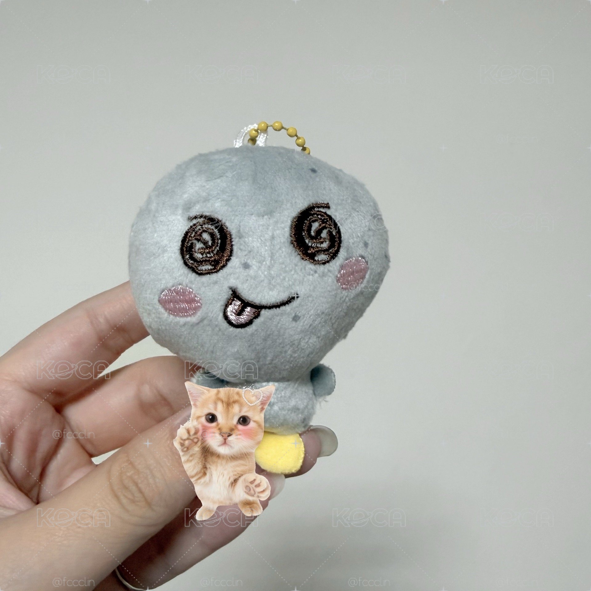 小芒龍石
