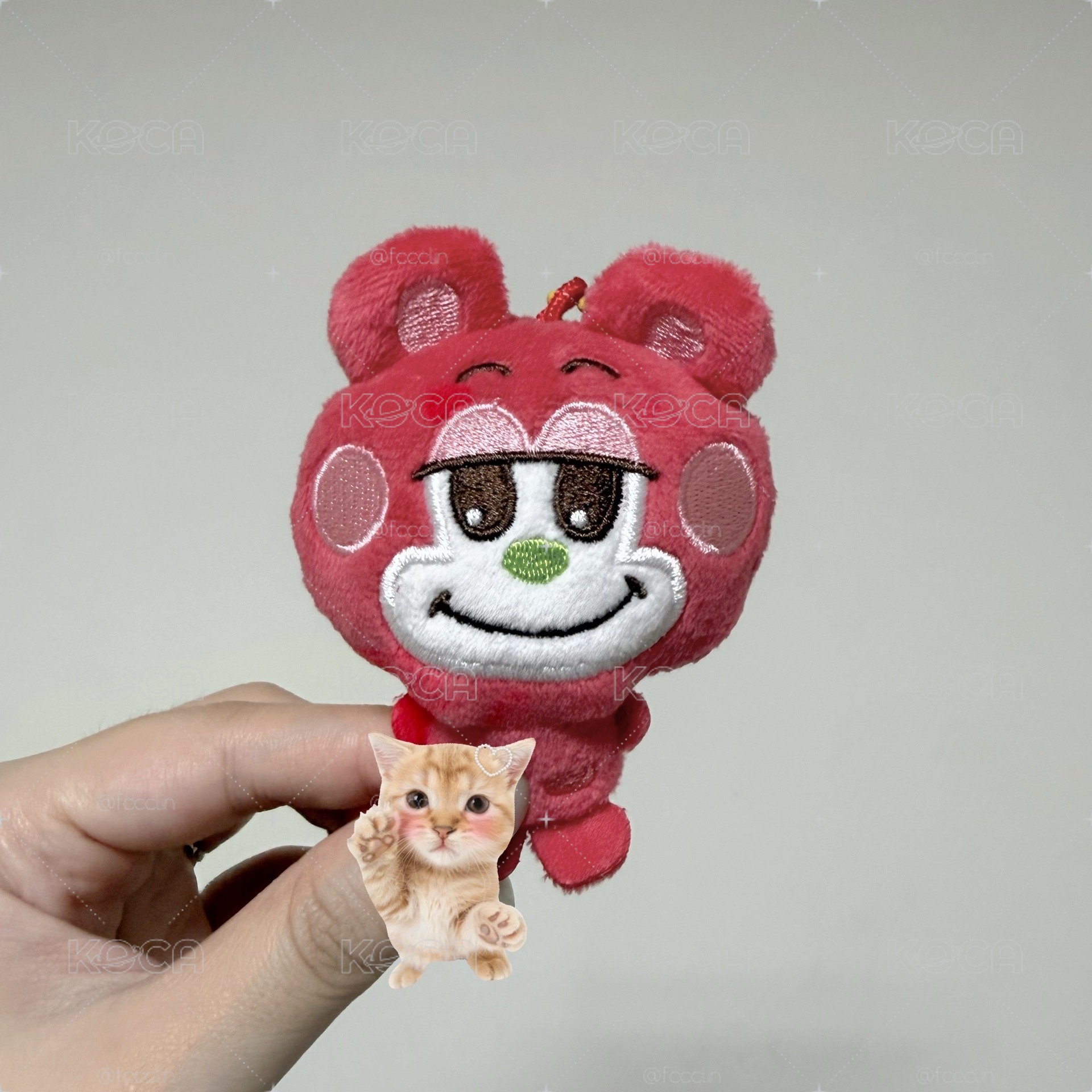 小芒栗子扣