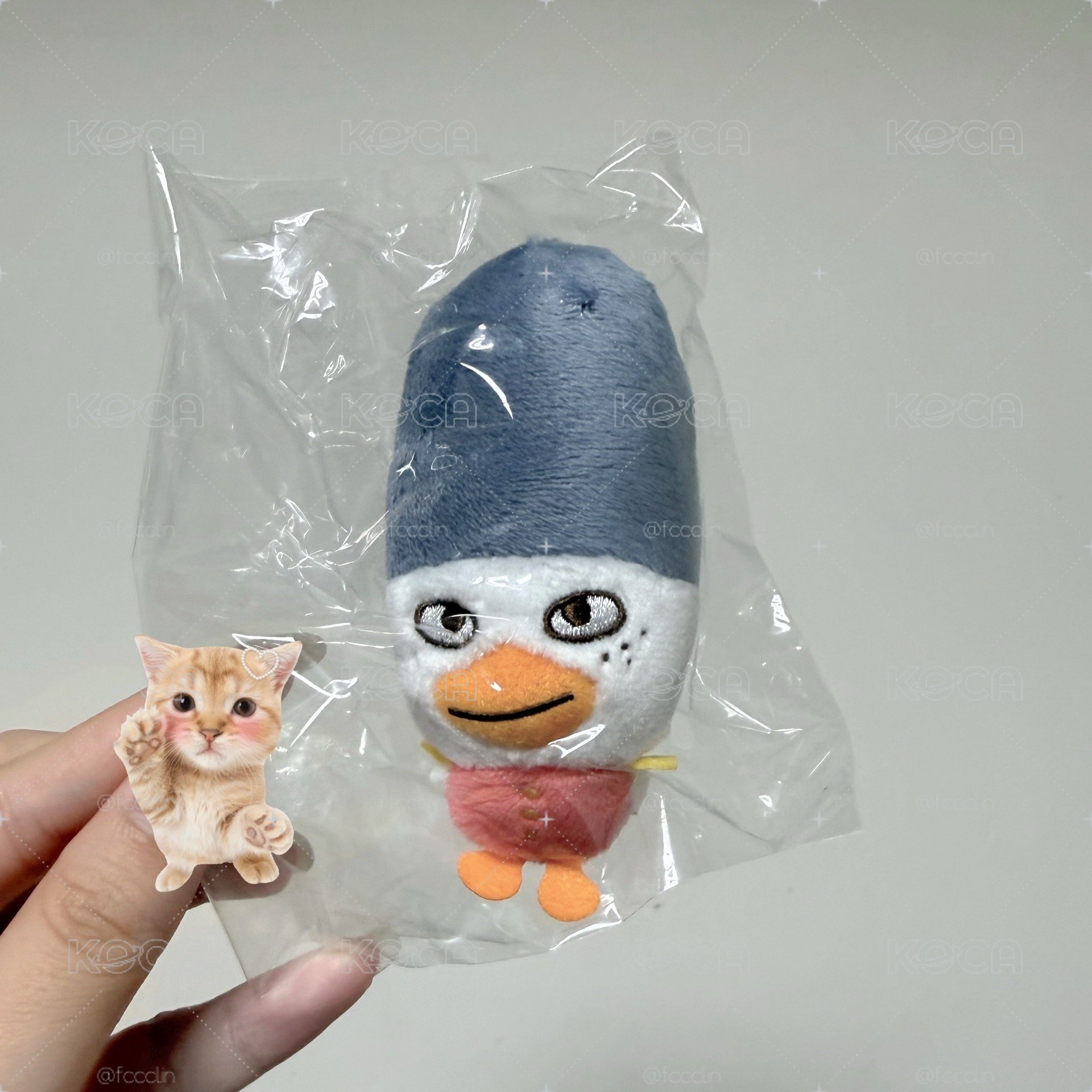 小芒豆兵