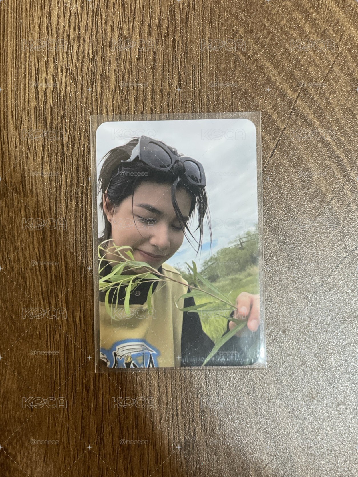 貼紙書路易吃草
