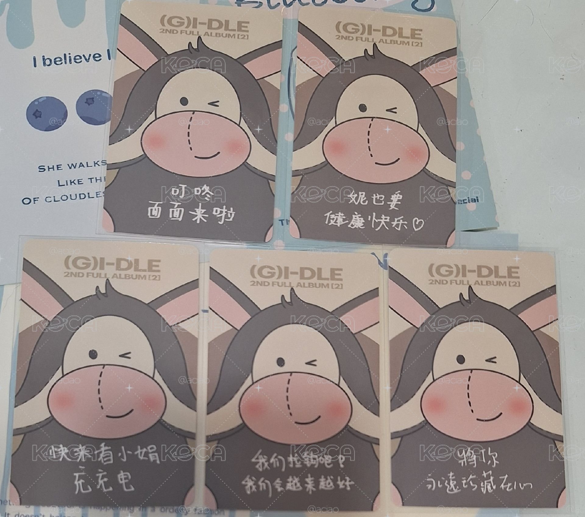 小毛驢全員 中背
