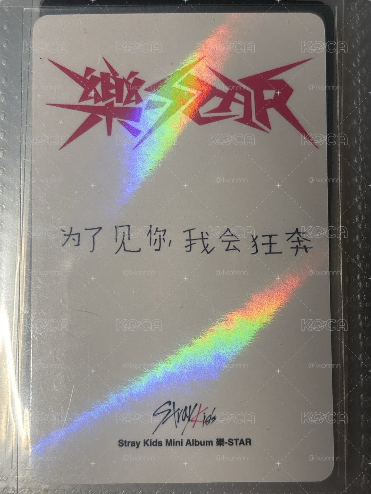 樂星 kms中背菲