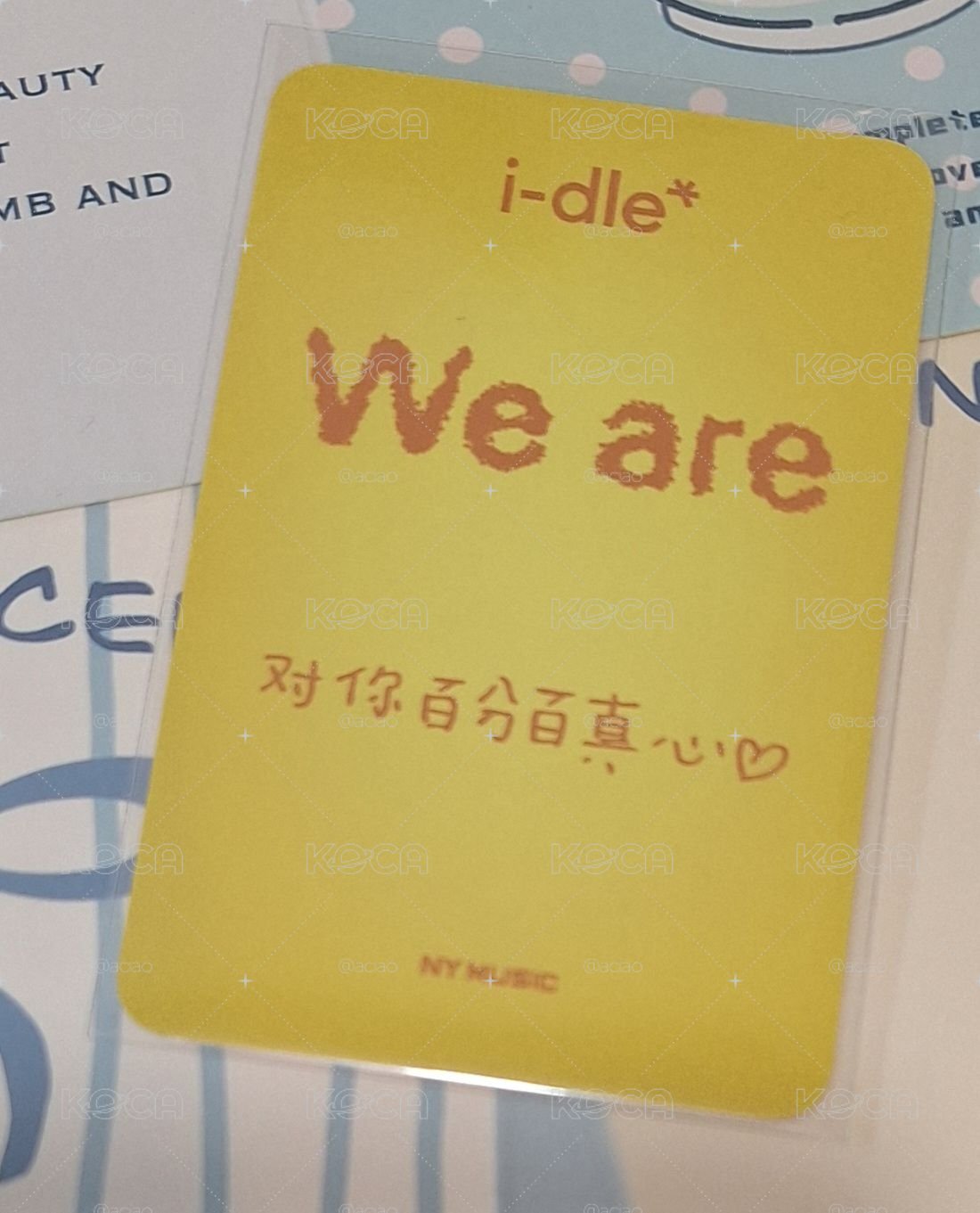 白衣麵 中背