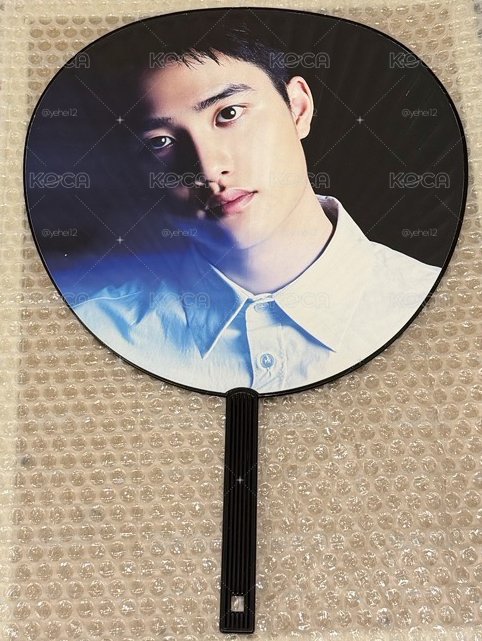 EXO D.O. 都敬秀 三巡日本場 大王扇
