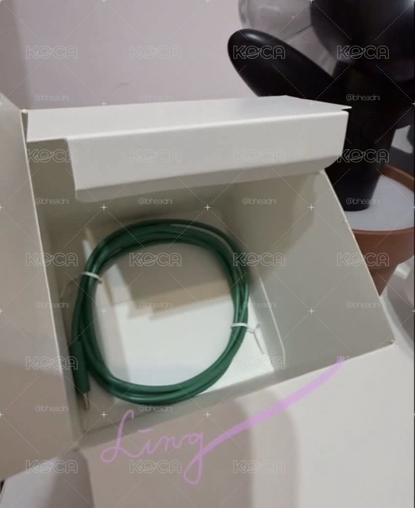 GD手燈+盆栽