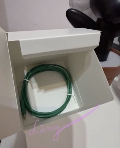GD手燈+盆栽