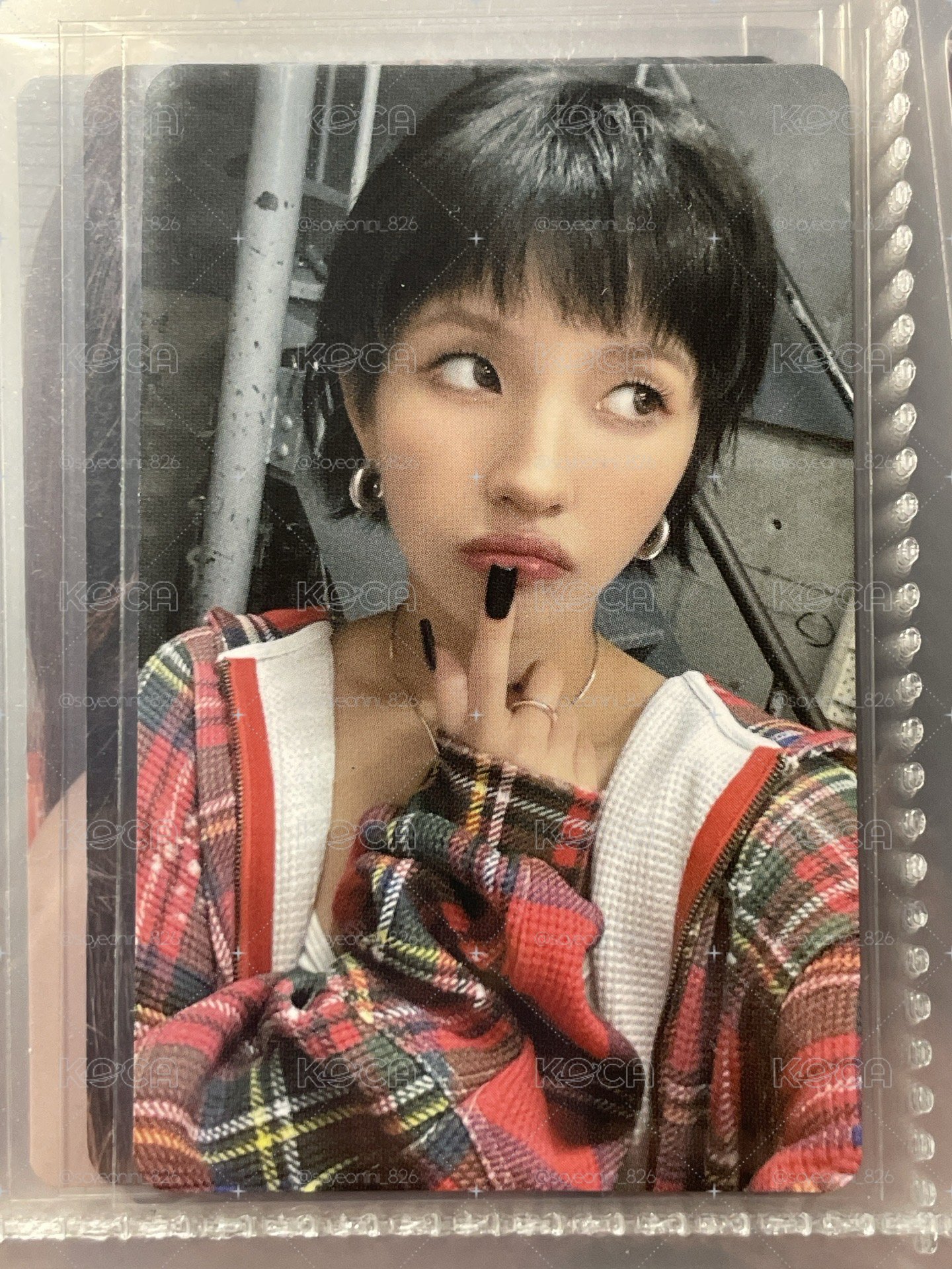 🦁日巡娟