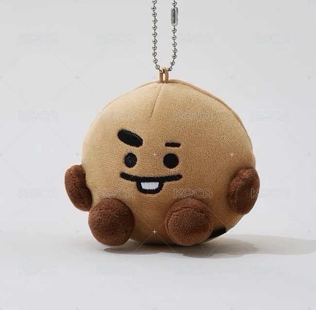 SHOOKY「已下單」