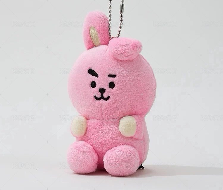COOKY 預購
