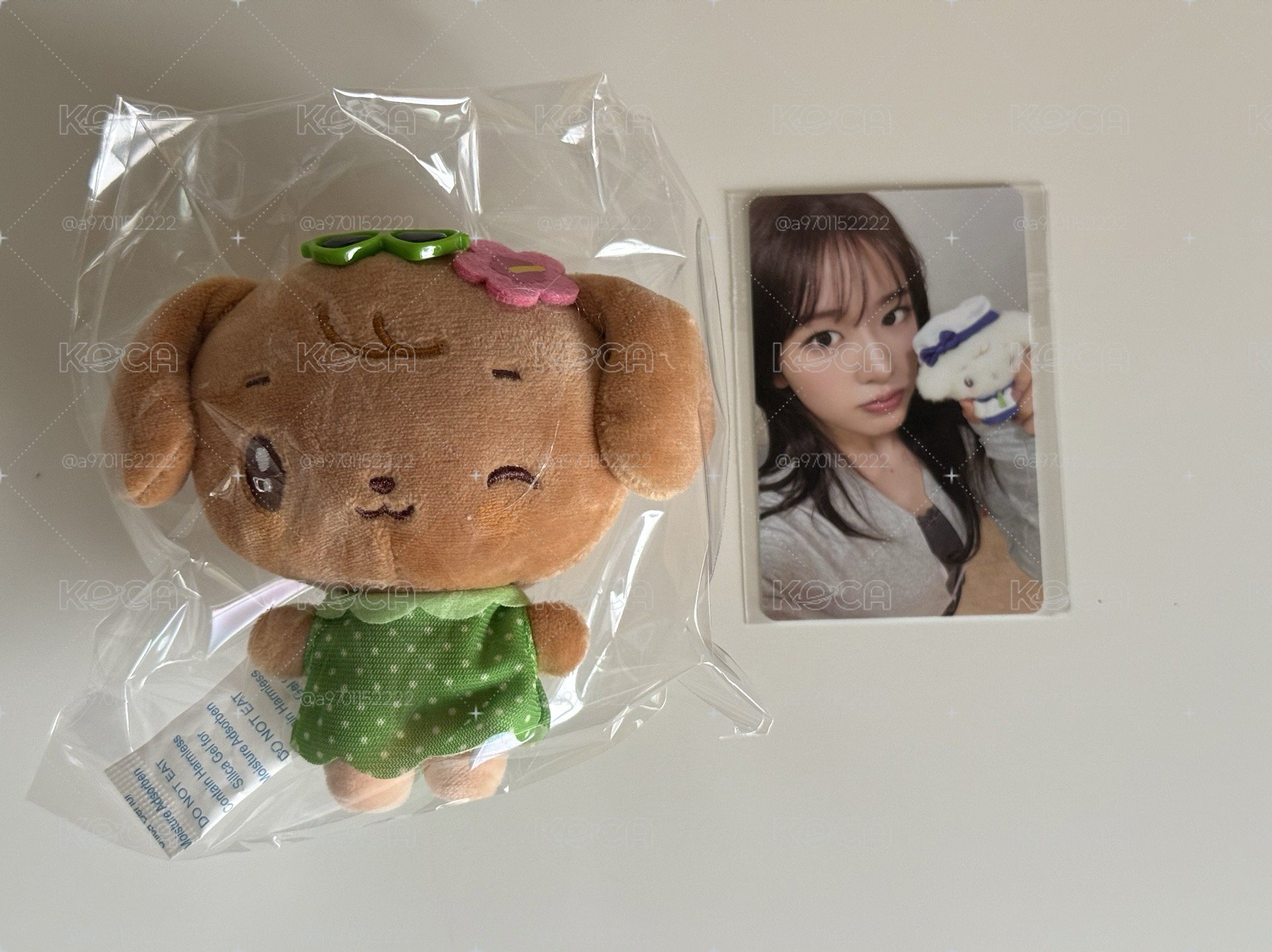 曬黑版安+安滿額卡