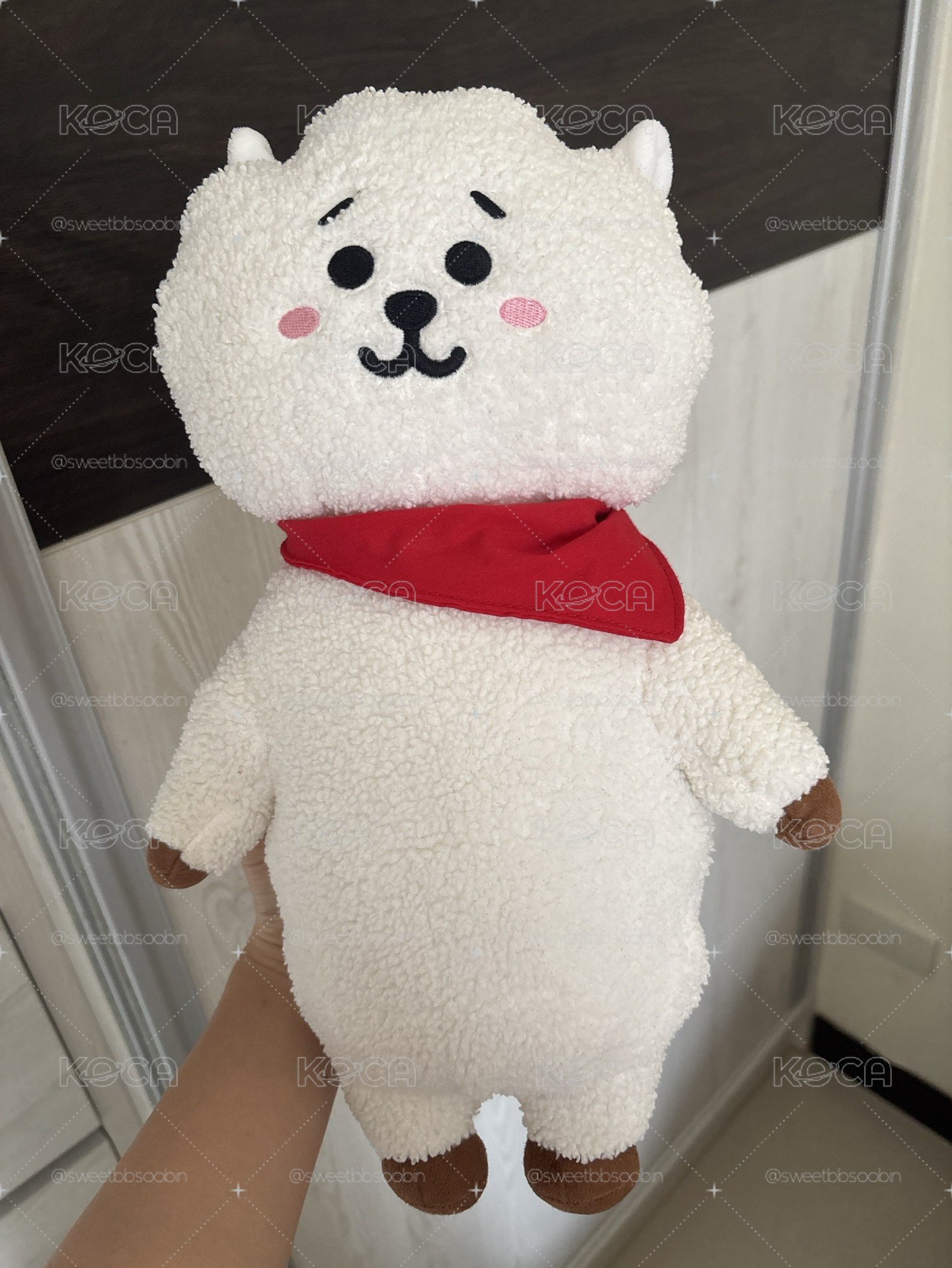 BT21 RJ 初代娃
